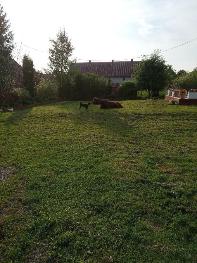 B&B Zrodlana 46 Olszyna  Buitenkant foto